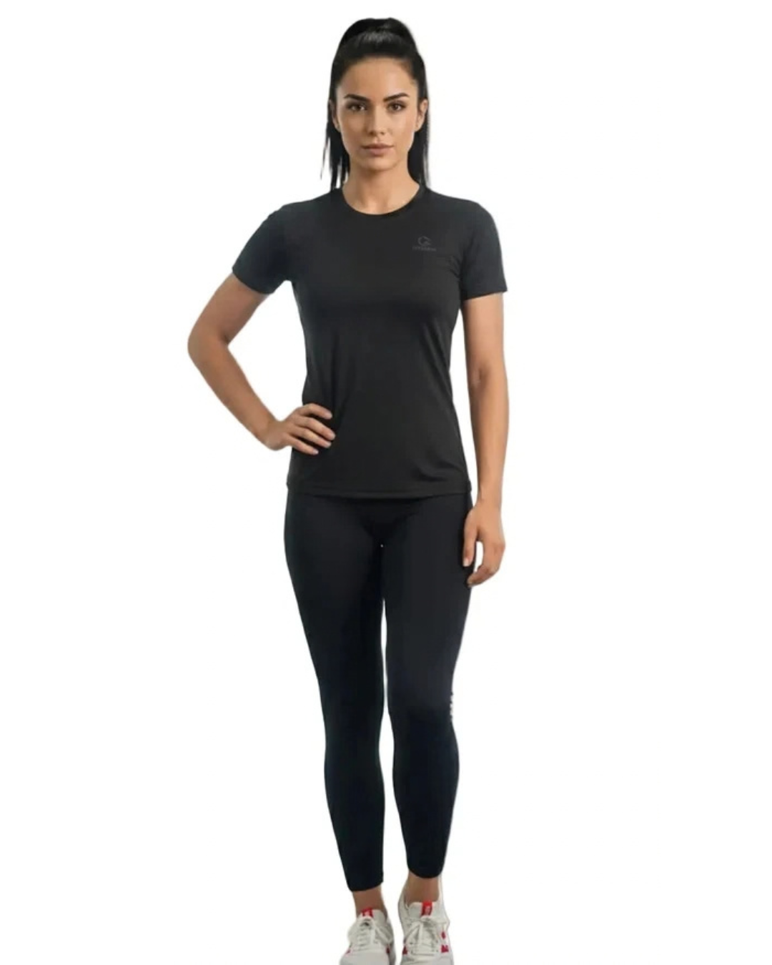 Backnet Compression T