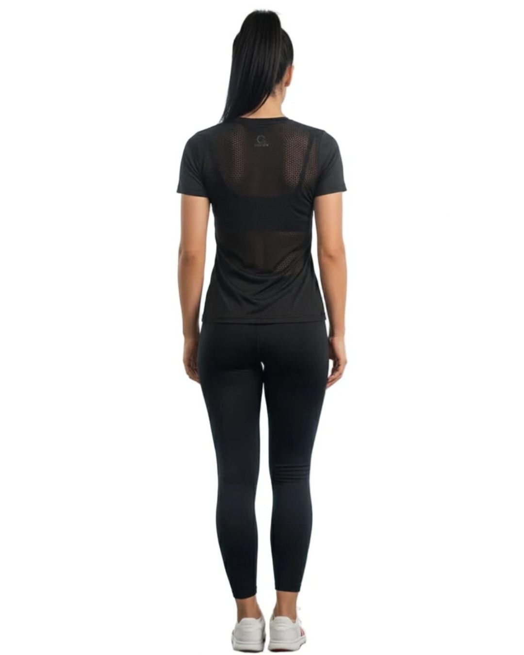 Backnet Compression T